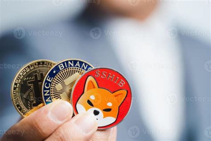 Is Shiba Shitcoin?