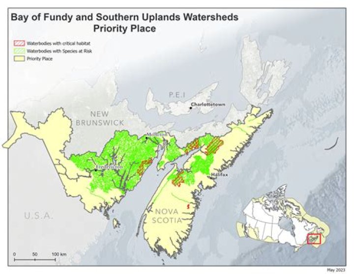 Why is the Bay of Fundy red?